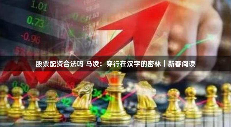 股票配资合法吗 马凌：穿行在汉字的密林｜新春阅读